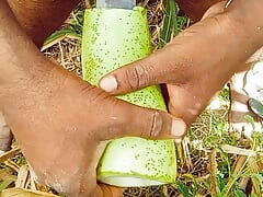 six in India mothe ka Shai tarki