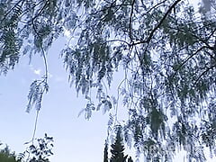 Anal during hardcore sex with Renata