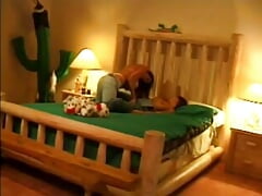 Cute sexy sluts eat pussies and toy fucking each other