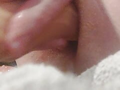 DP toy and closeup