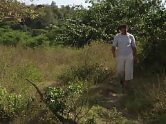Two Cocks to Take in the Nature
