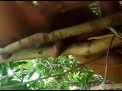 Desi gay boy sex in between 2 tree