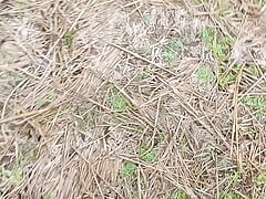 Gaon ki khet par sex kiya mene